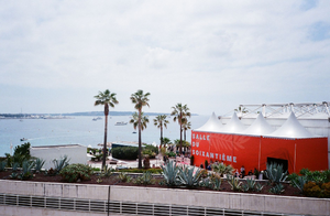 Désinsectisation dératisation Cannes